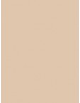 940 FROSTED MATT NO. 40 2500m   7884