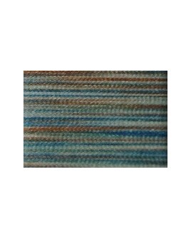918   POLYNEON NO.40   5000m   1607 multicolor