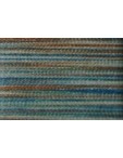 918   POLYNEON NO.40   5000m   1607 multicolor