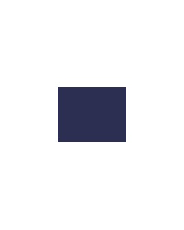 919   POLYNEON  NO.40    1000 m   1964