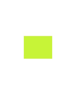 924   POLYNEON  NO.60   1500m  1823