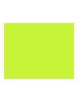 924   POLYNEON  NO.60   1500m  1823