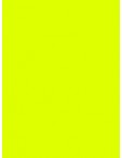 918   POLYNEON  NO.40    5000 m   1935