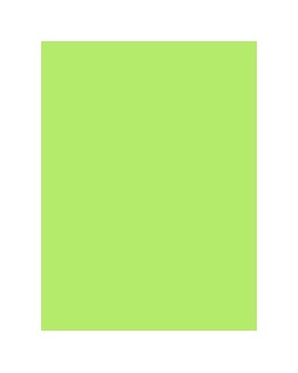 918   POLYNEON  NO.40    5000 m   1748