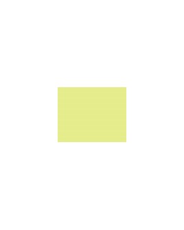 918   POLYNEON  NO.40    5000 m   1541