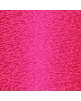 978  CR N°40 2500m BEGONIA 4294